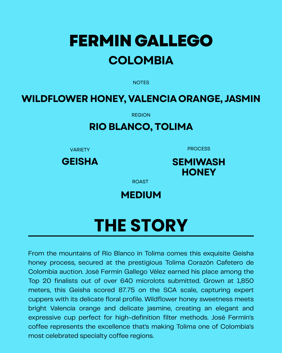 FERMIN GALLEGO | ORIGIN RESERVE