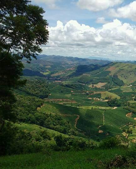 JULIO ARAYA | COSTA RICA