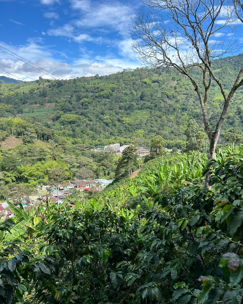 HONDURAS