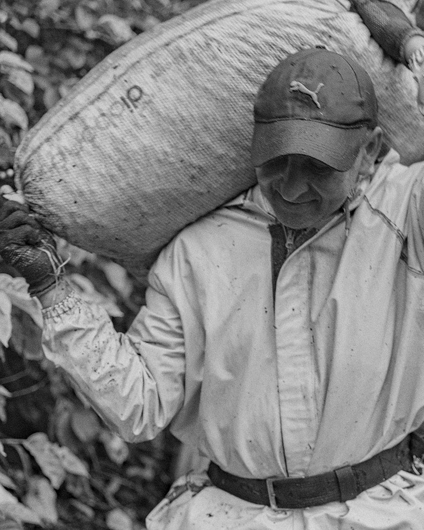 A person carrying a large sack of coffee on their shoulder outdoors