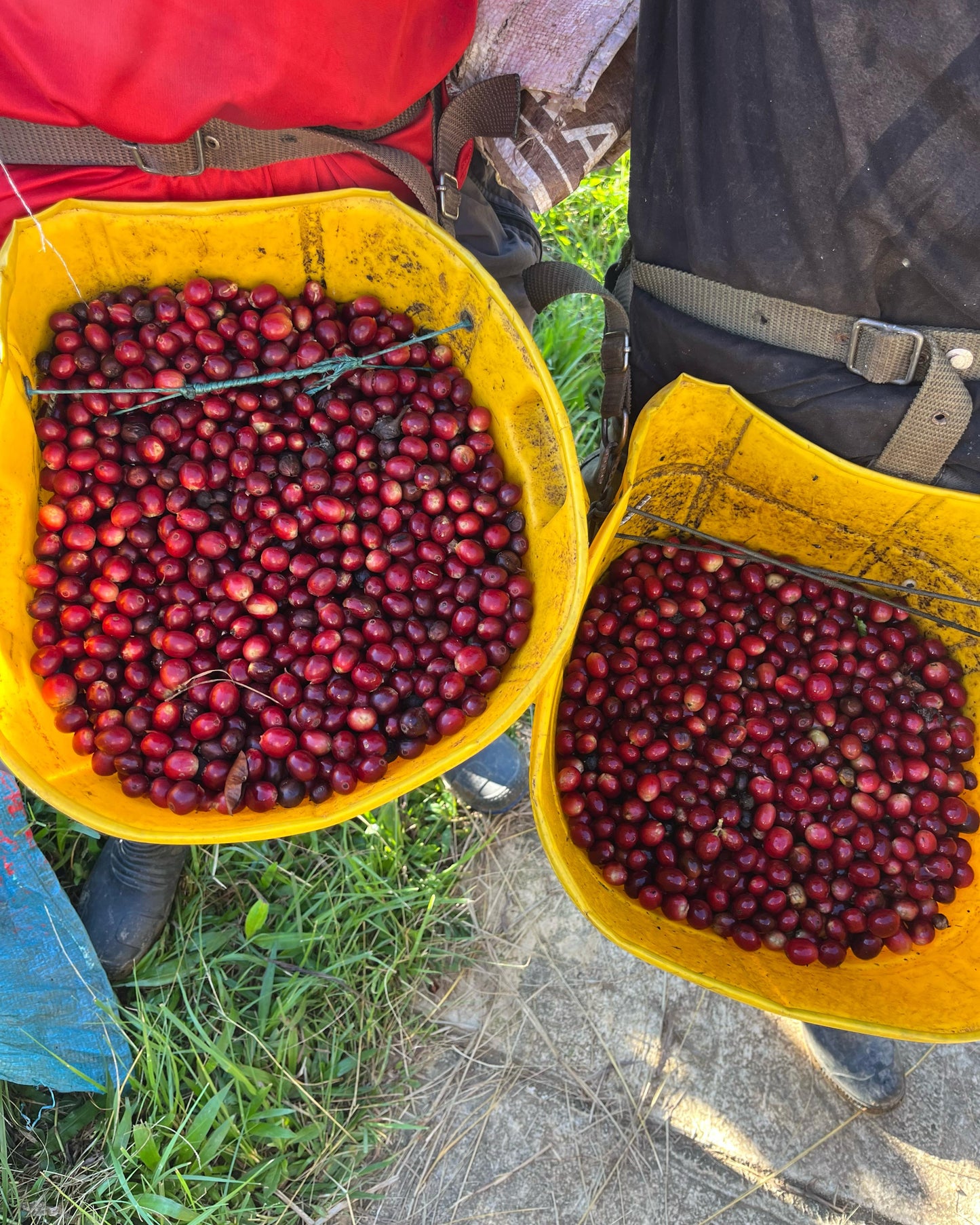 JAVA | ORIGIN RESERVE