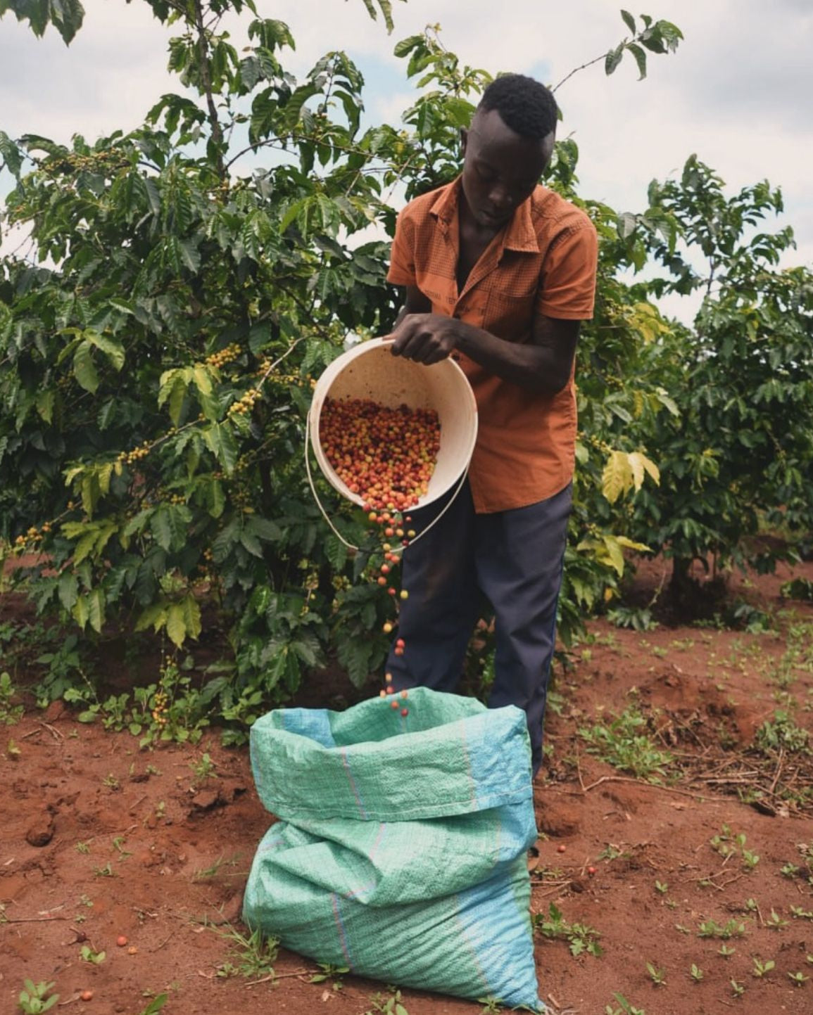 KENYA | EMBU