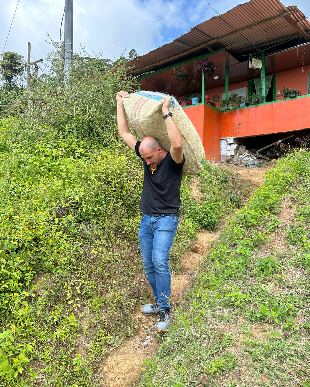 Man carrying a large bag of coffee beans up a grassy hill with a building in the background.