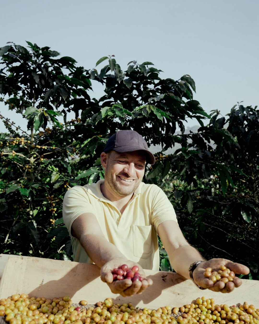 HEINER LASSO | ORIGIN RESERVE