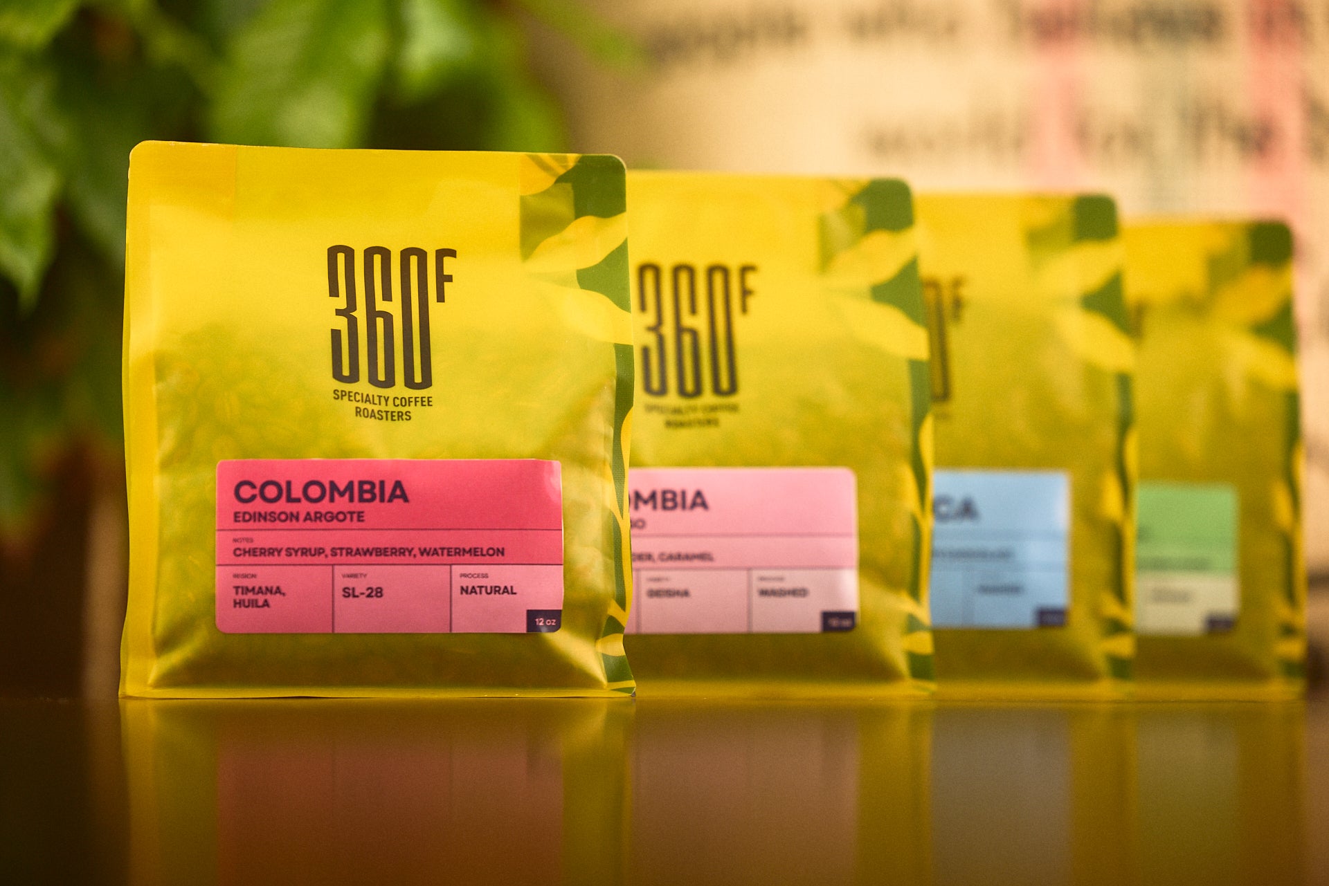 360F Specialty Coffee Roasters | Proudly roasting in South Florida