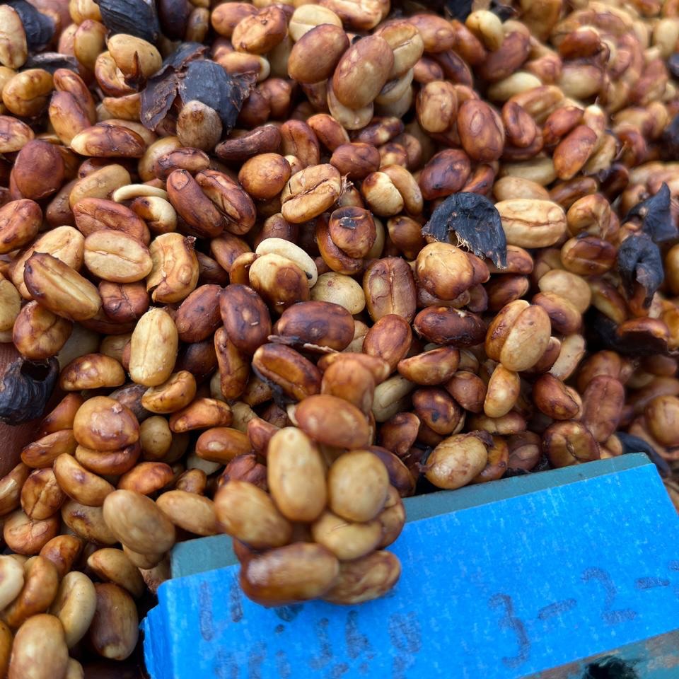 CANDELARIA FARM  | COSTA RICA
