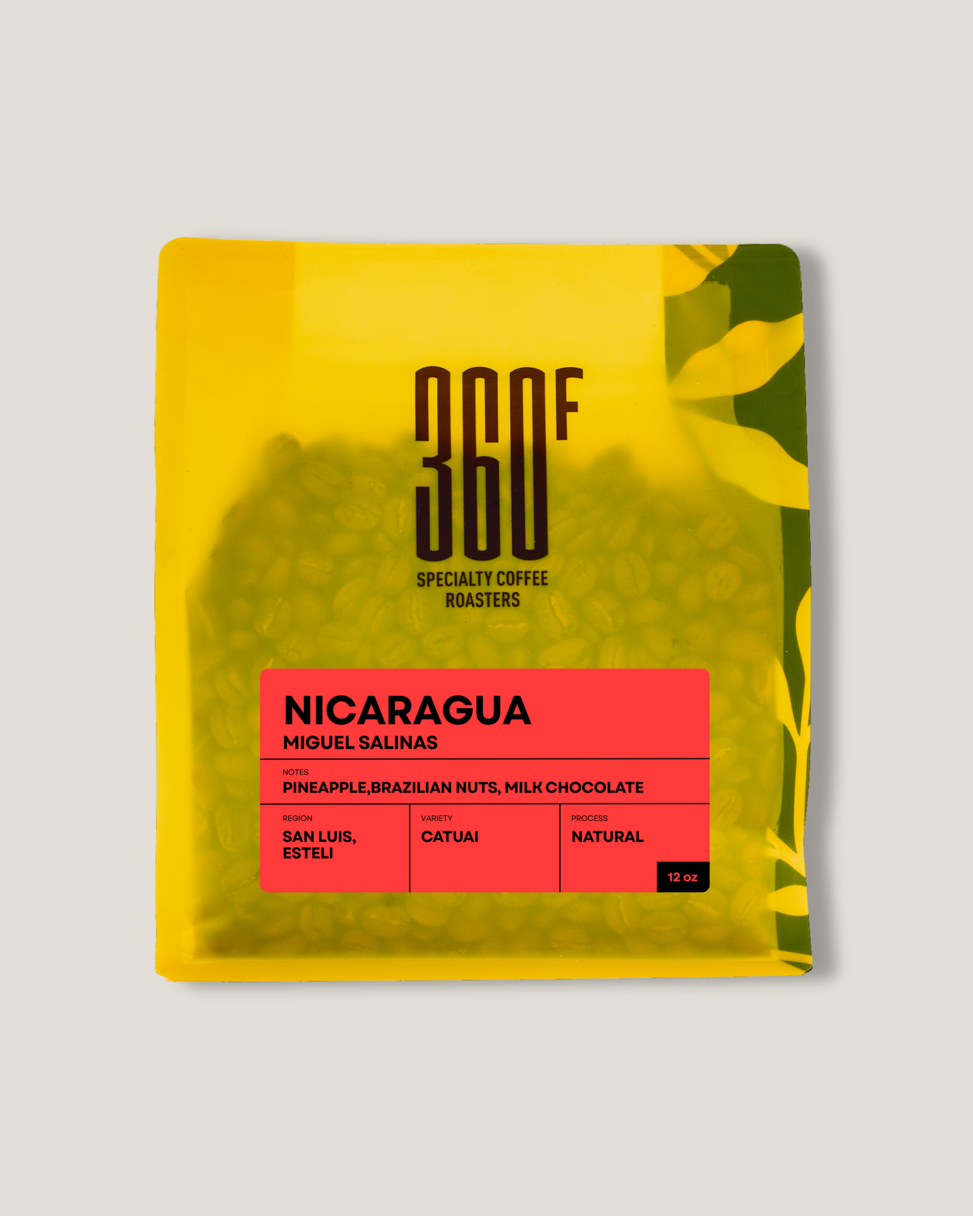 Photo of Nicaragua Copy