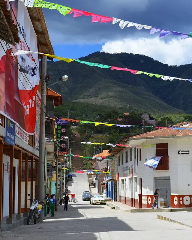 Street scene in a small town with colorful flags, buildings, and mountains in the background.