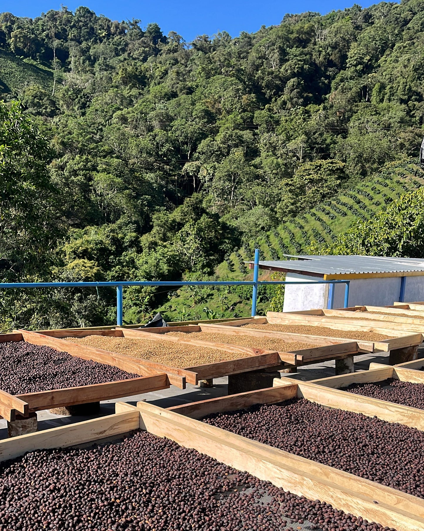 JAVA | ORIGIN RESERVE