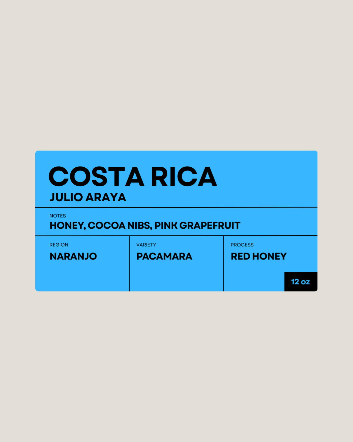 JULIO ARAYA | COSTA RICA