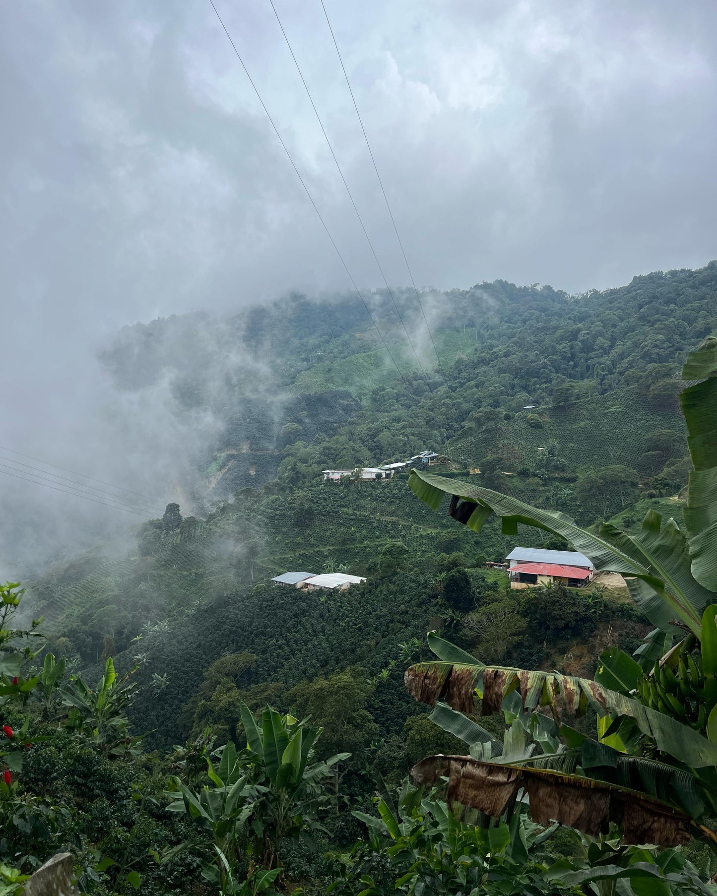 JAVA | ORIGIN RESERVE